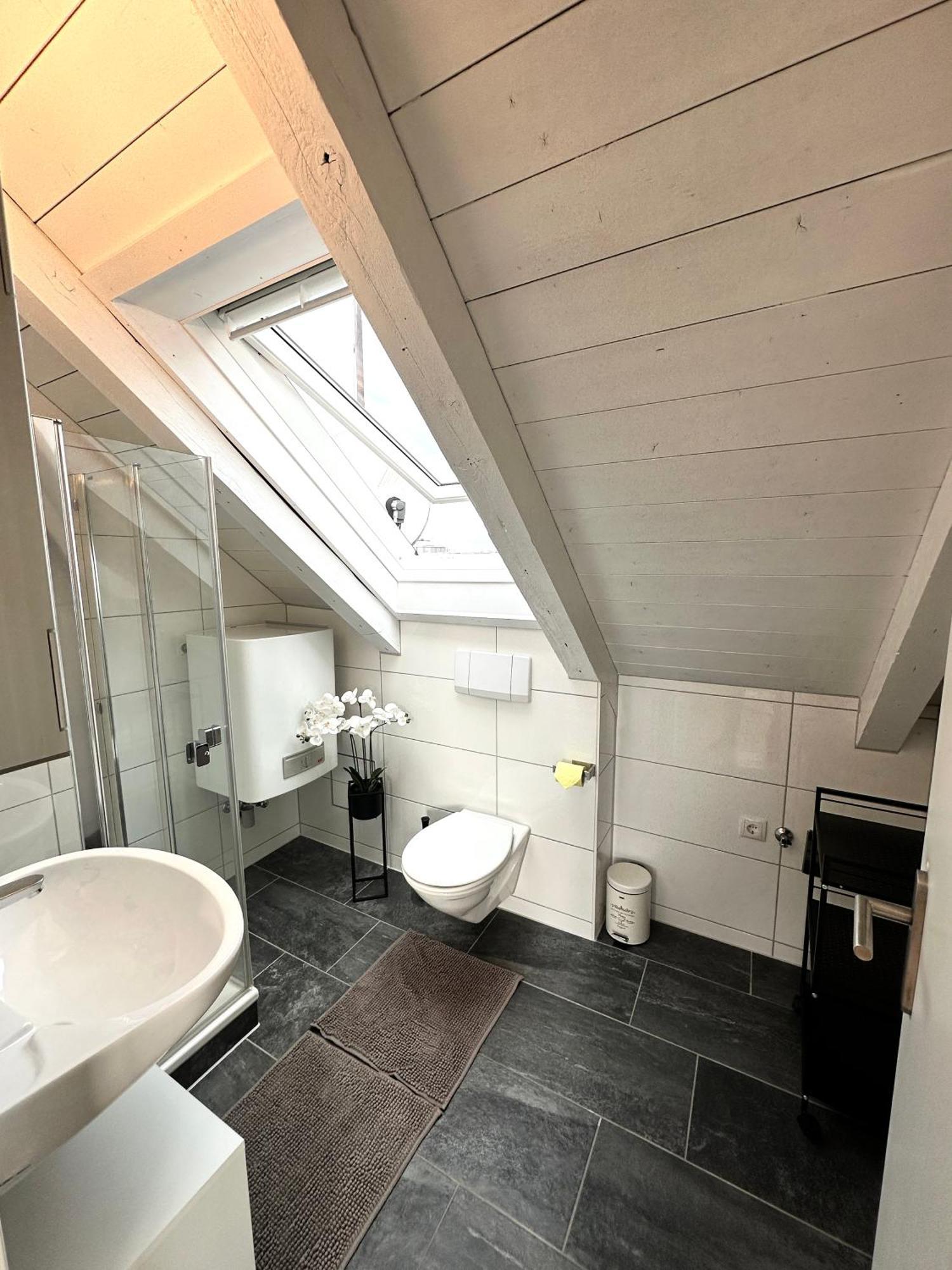 Zentrale Wohnung Mit Dachterasse ブレゲンツ エクステリア 写真